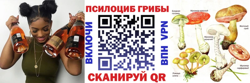 darknet состав  OMG зеркало  Абаза  Галлюциногенные грибы Psilocybe 